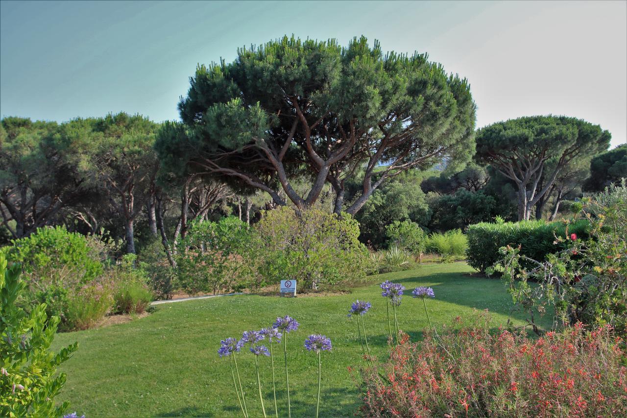 Appartement Les Pins Bleus A8 Sainte-Maxime Zewnętrze zdjęcie